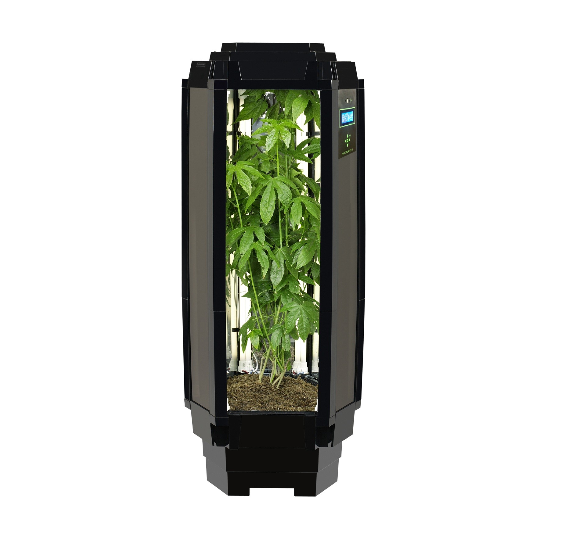 Best Hydroponic System? Phototron Says Consider 5 Key Factors when Choosing a System
